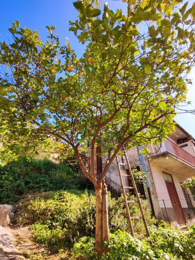 Aretta: Appartamento Nel Cuore Di Itri Exterior foto